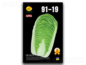 91-19-�ײ˷N��-��ɷN�I(y��)