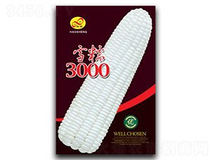 ѩŴ3000-Ŵ���׷N��-��ɷN�I(y��)