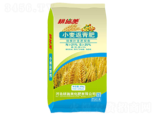 С�������-��ʩ��