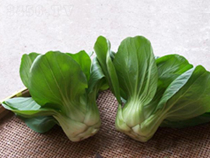 ������-�๣�˷N��-����r(n��ng)�I(y��)