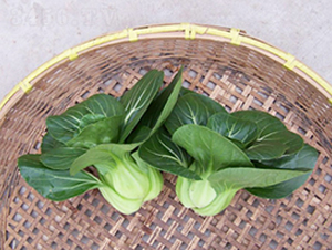 �����K����-�๣�˷N��-����r(n��ng)�I(y��)