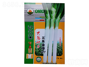 ��ϵ���177̖(h��o)-���[�N��-�����r(n��ng)�I(y��)