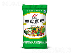 �w������-�ΰ���