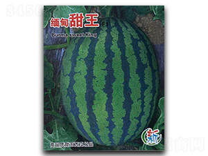 ��������-���ϷN��-�A�߷N�I(y��)