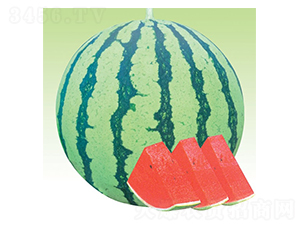 84-24-���ϷN��-�A�߷N�I(y��)