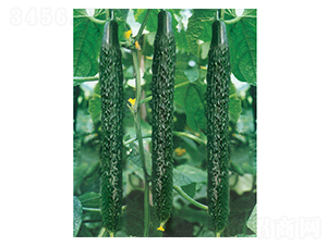 �°l(f��)�F(xi��n)-�S�ϷN��-�A�߷N�I(y��)