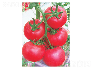 ����3̖-���ѷN��-�A�߷N�I(y��)