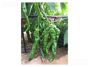 ����-�ݽz���N��-�A�߷N�I(y��)