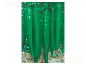 �ش�����-��ǽ��N��-�A�߷N�I(y��)