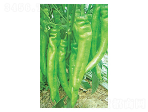 ���-��ǽ��N��-�A�߷N�I(y��)