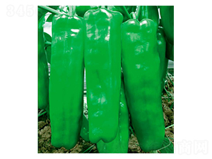 ����һ̖-�ݽ��N��-�A�߷N�I(y��)