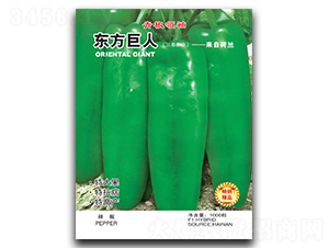 �|������-�ݽ��N��-�A�߷N�I(y��)