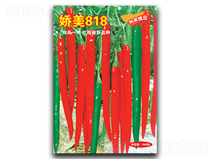 ����818-�����N��-�A�߷N�I(y��)