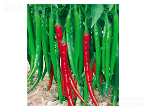 �L�S8̖-�����N��-�A�߷N�I(y��)