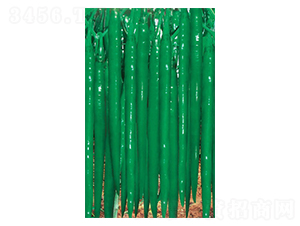 �G����-�����N��-�A�߷N�I(y��)