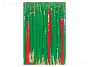 �|�����-�����N��-�A�߷N�I(y��)