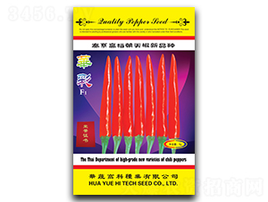 �A��-���콷�N��-�A�߷N�I(y��)