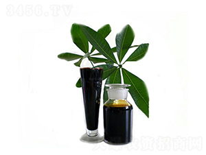 ʳ�ü��S����ԭҺ-ʥ��һ��