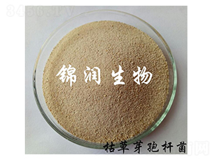 �ݲ�ѿ�ߗU��-�\������