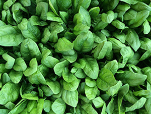 �W��-���˷N��-혳�