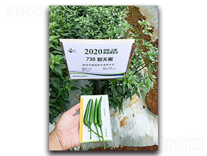 ����-�����N��-혳�