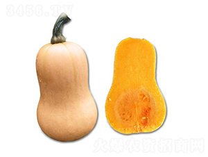 ���������Ϲ�-�ϹϷN��-혳�