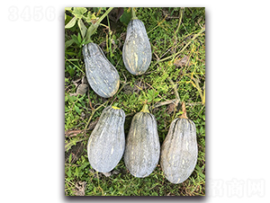 ����С�Ϲ�-�ϹϷN��-혳�