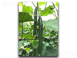 ����77-�S�ϷN��-혳�