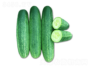 ̩��806-�S�ϷN��-혳�