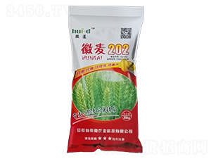 ����202-С���N��-�յ��r(n��ng)�I(y��)