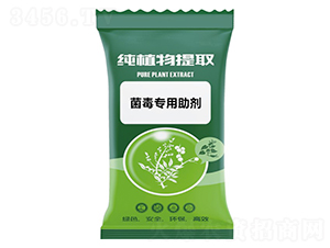 ������(zhu��n)������-ǧ���