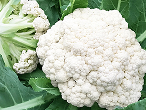 �_������55����ɻ�-��Ҭ�˷N��-혳�