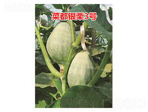 �˶��y��3̖-�ϹϷN��-�˶��fʢ