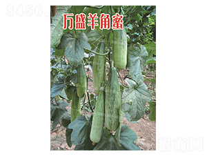 �fʢ�����-��ϷN��-�˶��fʢ