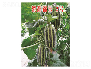 �˶��\��2̖-��ϷN��-�˶��fʢ