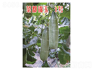 �˶��\��1̖-��ϷN��-�˶��fʢ