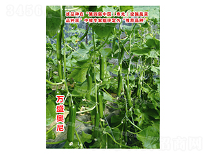 �fʢ�W��-�S�ϷN��-�˶��fʢ