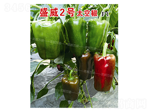 ʢ��2̖̫�ս�-�����N��-�˶��fʢ