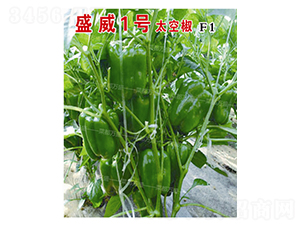 ʢ��1̖̫�ս�-�����N��-�˶��fʢ