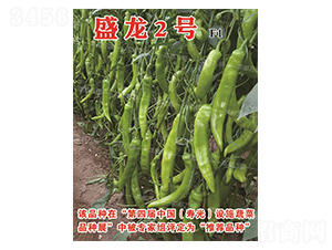 ʢ��2̖-�����N��-�˶��fʢ