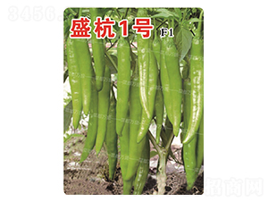 ʢ��1̖-�����N��-�˶��fʢ