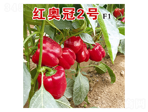 �t�W��2̖-�����N��-�˶��fʢ