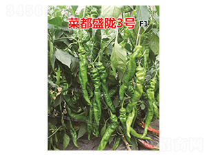 �˶�ʢ�]3̖-�����N��-�˶��fʢ