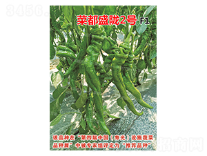 �˶�ʢ�]2̖-�����N��-�˶��fʢ