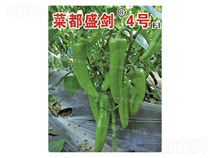 �˶�ʢ��4̖-�����N��-�˶��fʢ