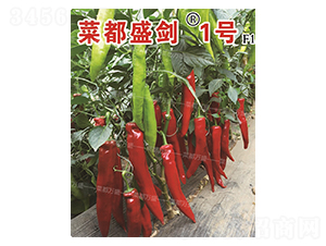 �˶�ʢ��1̖-�����N��-�˶��fʢ