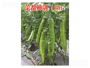 �˶���168-�����N��-�˶��fʢ