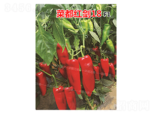 �˶��t��18-�����N��-�˶��fʢ