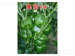 �W��8̖-�����N��-�˶��fʢ