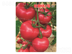 �W˹��2̖-���t���N��-�˶��fʢ